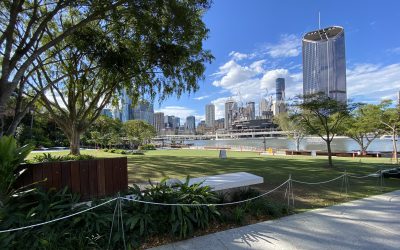 South Bank Landscaping Project